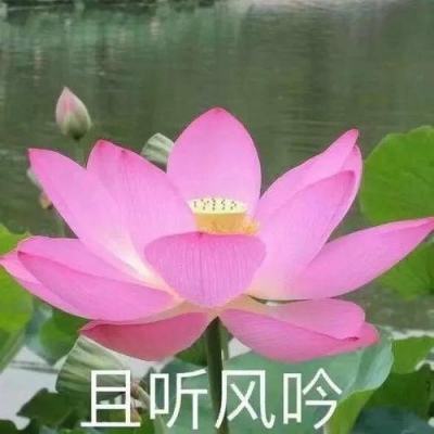 广州荔湾高风险区新病例续增 数千居民异地集中隔离